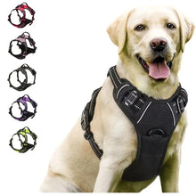 Charger l'image dans la galerie, Harnais pour chien
