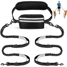 Charger l'image dans la galerie, Double laisse pour chien pour coureur
