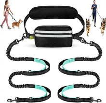 Charger l'image dans la galerie, Double laisse pour chien pour coureur
