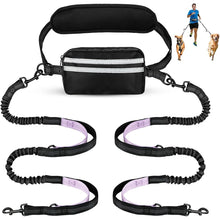 Charger l'image dans la galerie, Double laisse pour chien pour coureur
