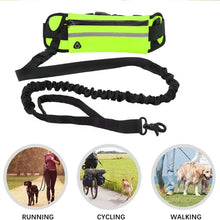 Charger l'image dans la galerie, Laisse mains libres avec ceinture running et sacoche intégrée
