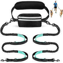 Charger l'image dans la galerie, Double laisse pour chien pour coureur
